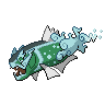 Basculegion (Female)